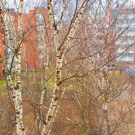 Birch View Apartment Γιέλγκαβα Εξωτερικό φωτογραφία