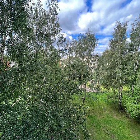 Birch View Apartment Γιέλγκαβα Εξωτερικό φωτογραφία