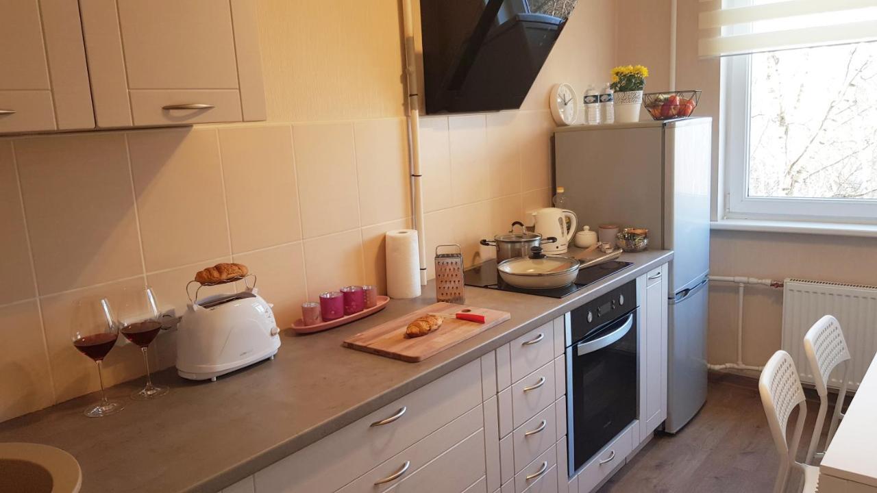 Birch View Apartment Γιέλγκαβα Εξωτερικό φωτογραφία